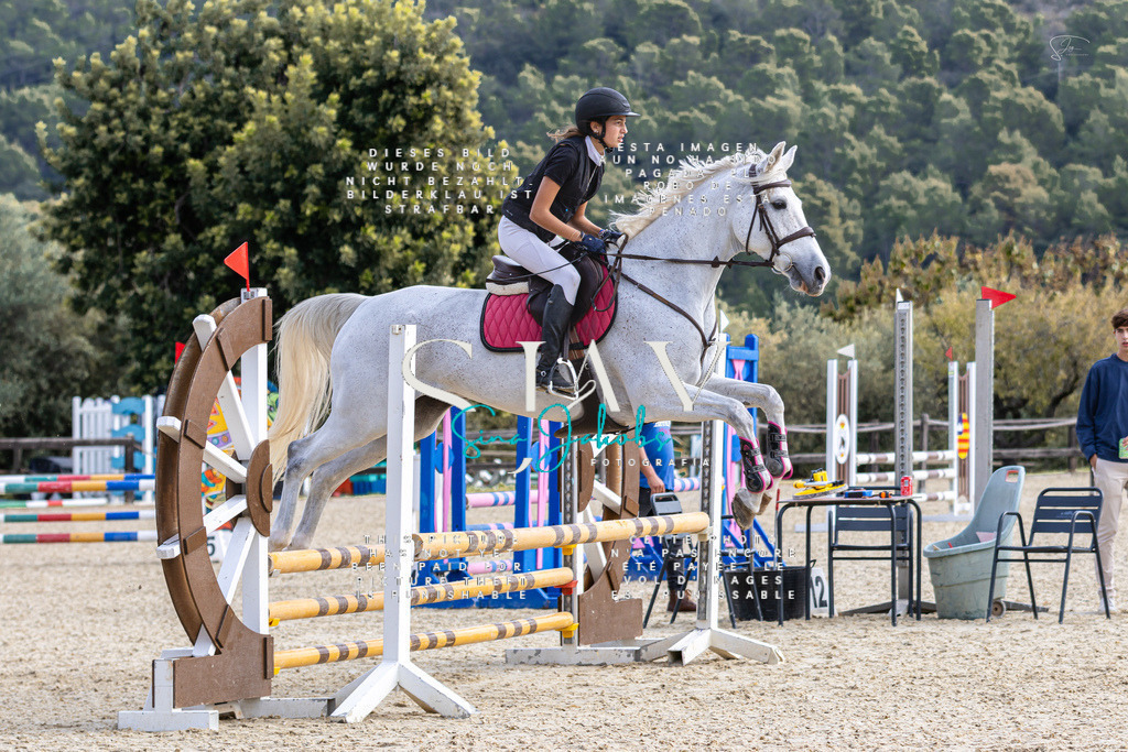 IMG_5453 | s-jay-photography - Realisiert mit Pictrs.com