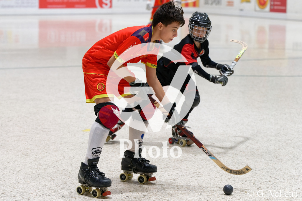 DSC_3386 | Velletri Photo