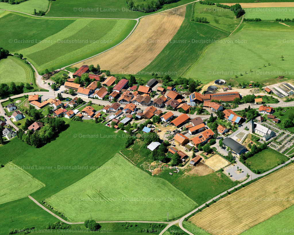 2724240 | Böhmzwiesel