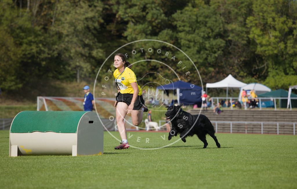 0L8A3769 | Hundefotografie, Tierfotograf, Pfotenfotografie, Fotoshooting Hund, Hunde Portrait, Hundesport, Hundeportraits, Heideshooting, Hunde, Sportfotograf, Hundefotograf, Turnierhundsport, THS,  - Realisiert mit Pictrs.com