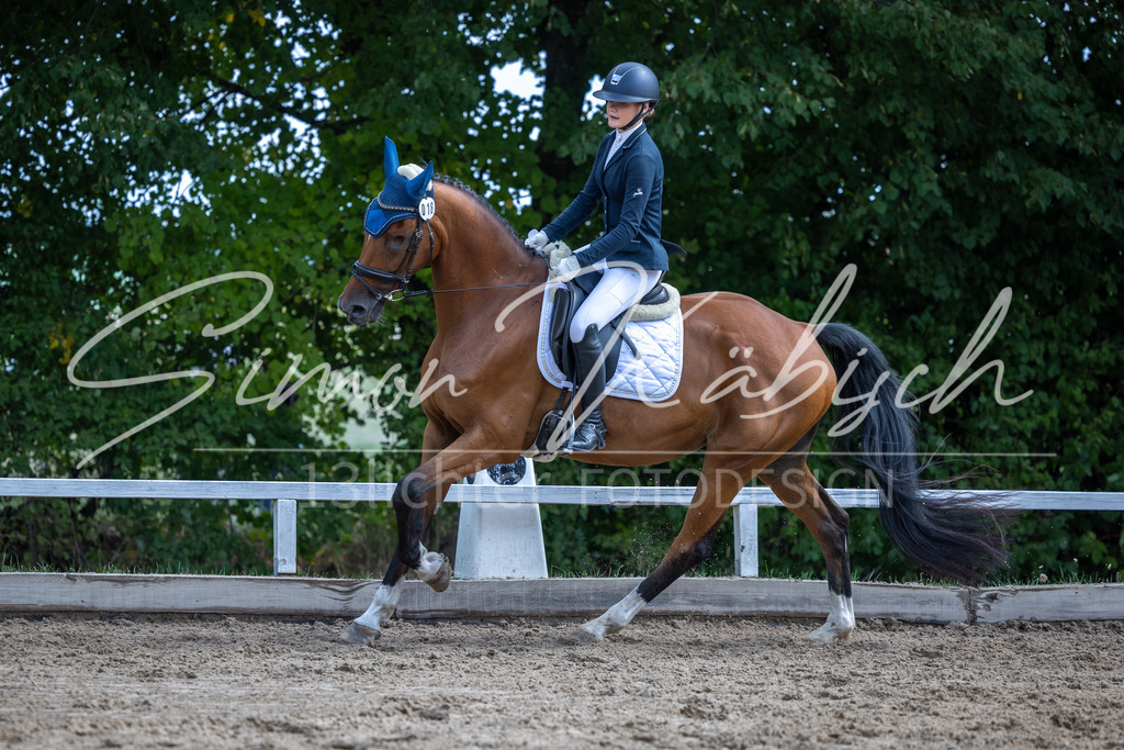 20260905-_3LI7910 | Tierfotografie Pferde, Hunde, Katzen, Haustiere.
Turnierfotografie Reitturniere, Reiten, Springreiten, Dressur in Hanau, dem Main-Kinzig-Kreis und dem Rhein-Main- Gebiet um Frankfurt