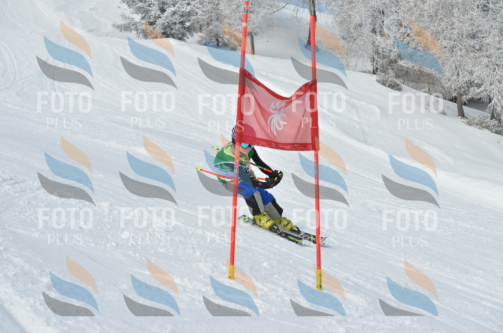 D8639 | holidayphoto