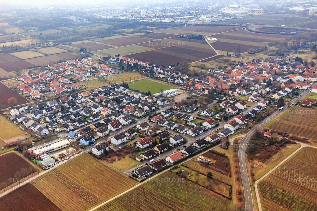 Luftbild: Dorfansicht aus Nordwesten im Dunst im Ortsteil Dammheim in Landau im Bundesland Rheinland-Pfalz in Deutschland. Foto: IMG_096536.jpg vom 02.02.2017 durch Werner Riehm/FLY-FOTO.de