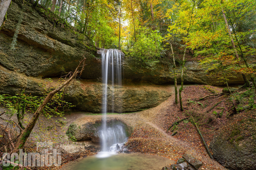 PS-Natur-2026-117 | Entdecke die größte Bildgalerie der Region mit Fotografien aus dem Allgäu, der Bodenseeregion, Oberschwaben, dem Donautal und der Schwäbischen Alb. Landschaften, Luftaufnahmen und Reisefotografie als Wandbild und Fotokunst. - Realisiert mit Pictrs.com