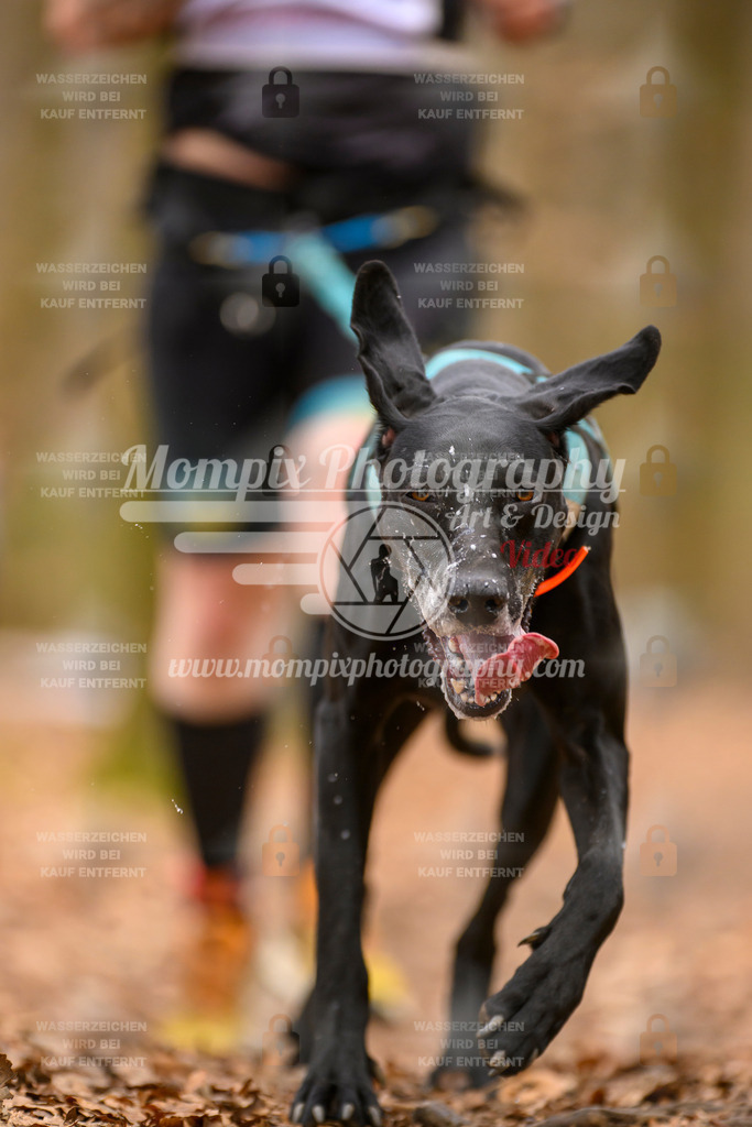MompixPhotography_Habay2025_SA_CCC-43 | PayLife