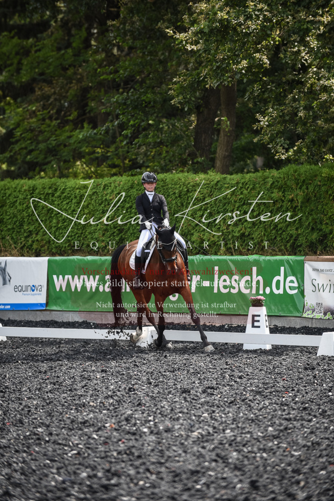 DSC_4758 | Pferde- und Turnierfotografie in Westsachsen. Pferdeportraits, Auftragszeichnungen und intuitive Kunst.