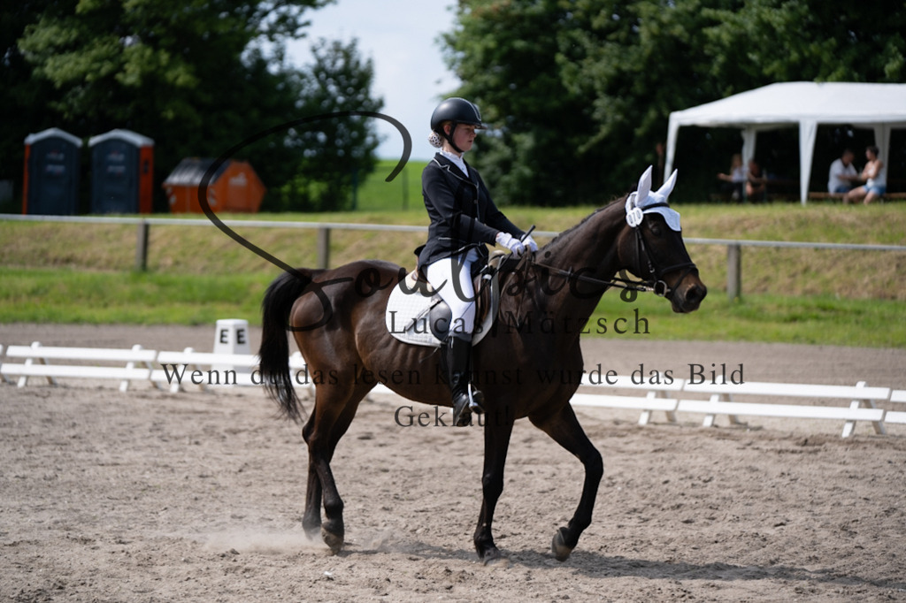 A7V02726 | Pferdefotograf