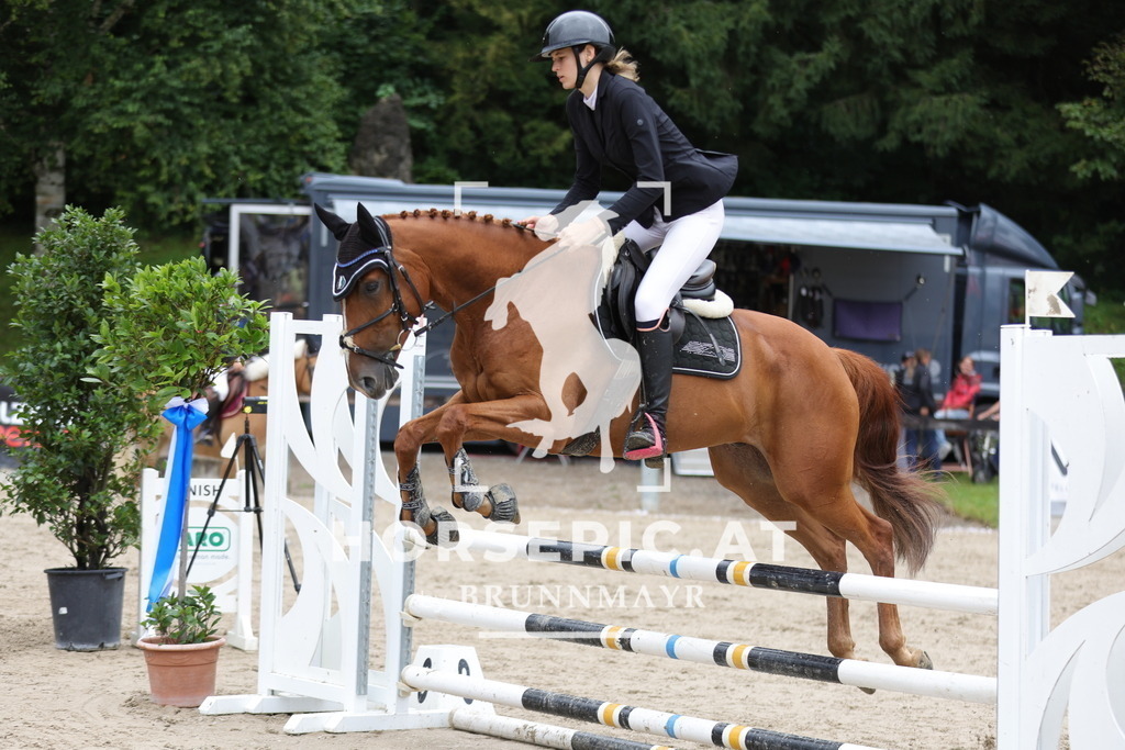 0P6A1252 | Willkommen bei Brunnmayr - Design & Fotografie – Ihrem Spezialisten für Reitturniere und Pferdeveranstaltungen in Oberösterreich, Salzburg und Bayern! Seit über 17 Jahren sind wir leidenschaftlich dabei.