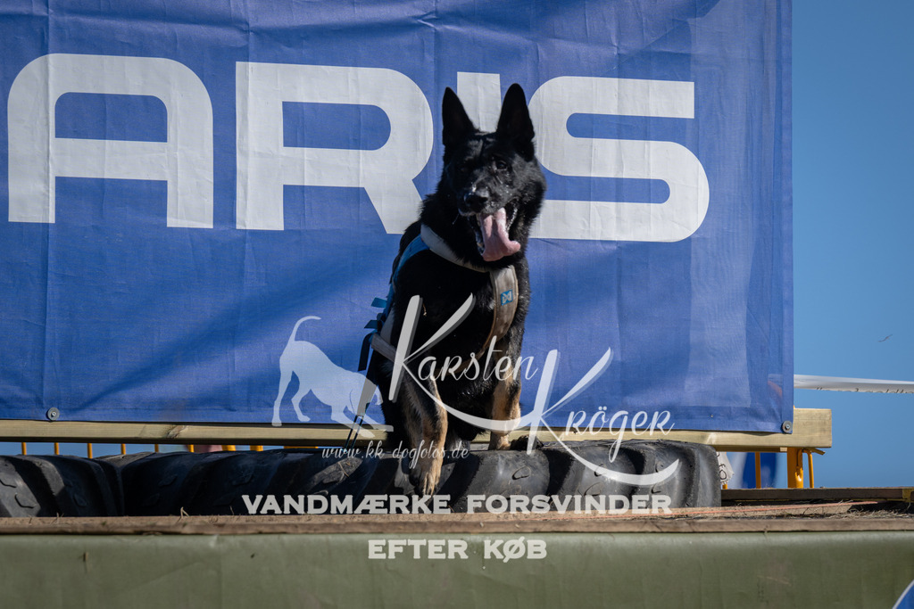 1023_ZZ98439 | kk-dogfotos