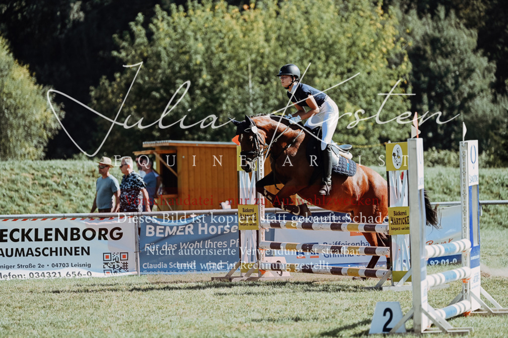 DSC_6952 | Pferde- und Turnierfotografie in Westsachsen. Pferdeportraits, Auftragszeichnungen und intuitive Kunst.