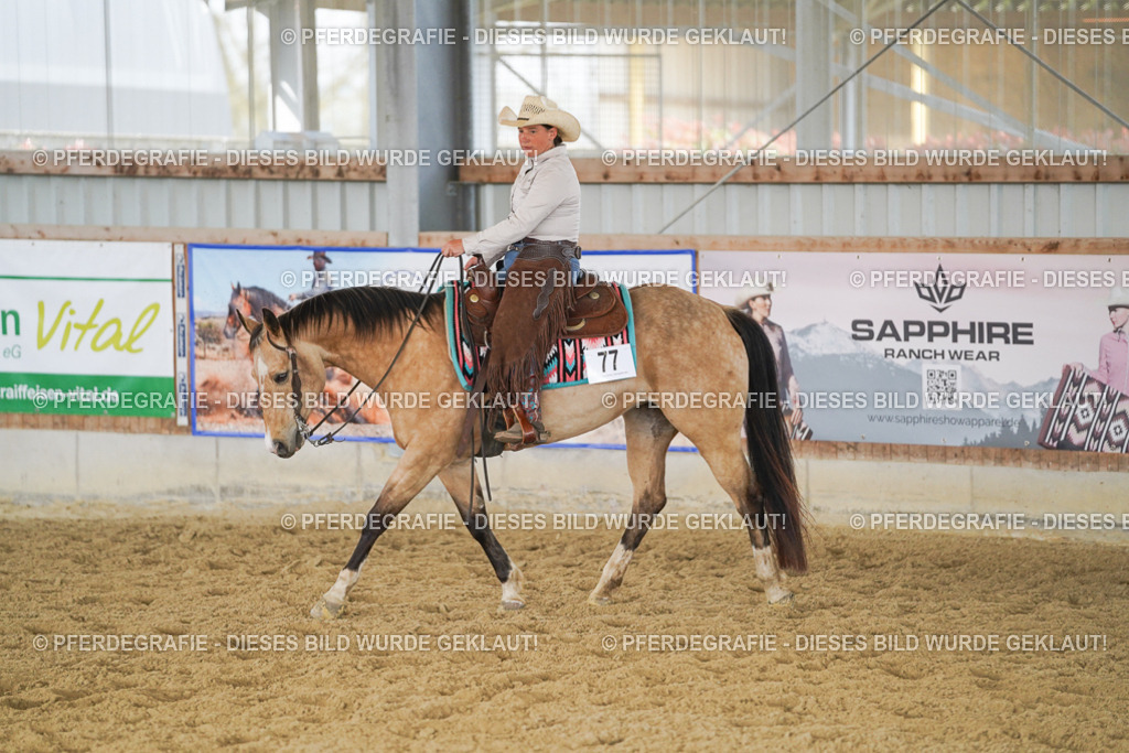 DSC01804 | Pferdegrafie