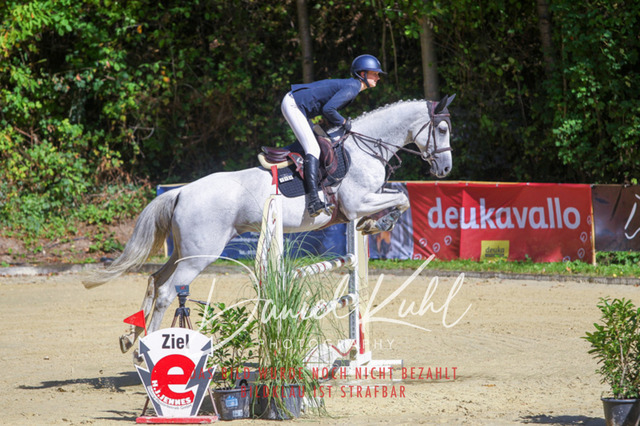 DKP43087 | Deine Turnierfotos vom Reitturnier online kaufen: Dressur, Springen & Siegerehrung. Professionelle Pferdefotografie aus dem Rheinland – als Download & Print.Alternative: Turnierfotograf für den Pferdesport: Finde deine Fotos von Dressur- und Springturnier
