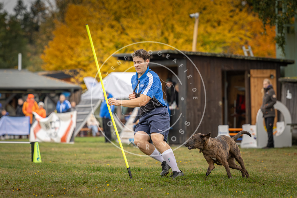Pfotenfotografie_DV3A5122 | Hundefotografie, Tierfotograf, Pfotenfotografie, Fotoshooting Hund, Hunde Portrait, Hundesport, Hundeportraits, Heideshooting, Hunde, Sportfotograf, Hundefotograf, Turnierhundsport, THS,  - Realisiert mit Pictrs.com
