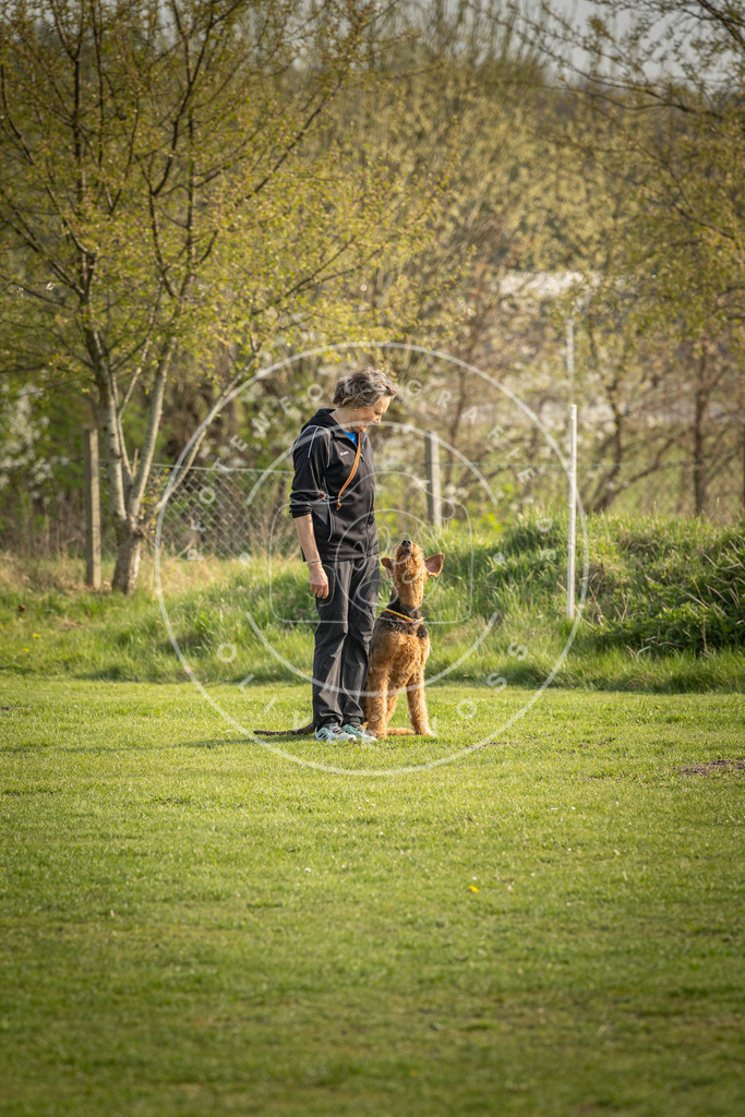 Pfotenfotografie_DV3A4844 | Hundefotografie, Tierfotograf, Pfotenfotografie, Fotoshooting Hund, Hunde Portrait, Hundesport, Hundeportraits, Heideshooting, Hunde, Sportfotograf, Hundefotograf, Turnierhundsport, THS,  - Realisiert mit Pictrs.com