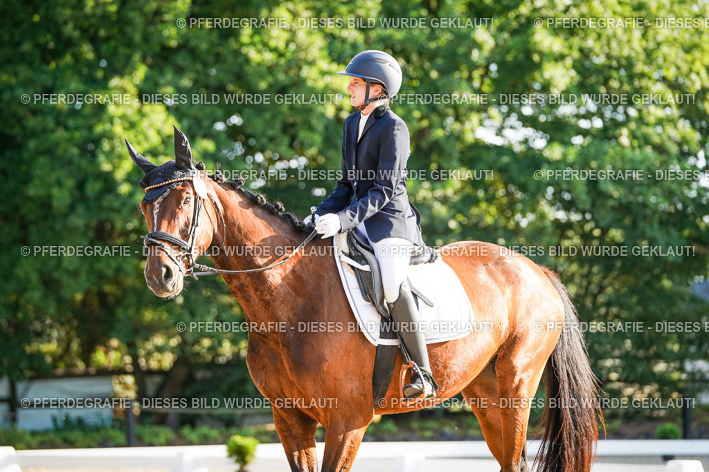 DSC07959 | Pferdegrafie