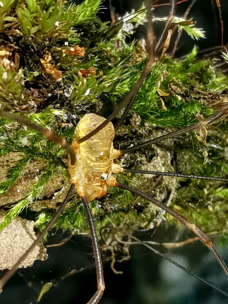 PSX_20230906_232558 | mtkfoto_ - Realisiert mit Pictrs.com