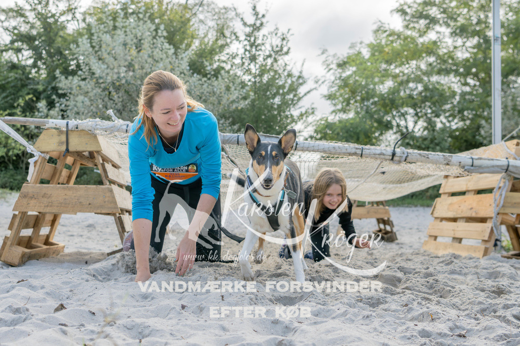 1239_ZZ92365 | kk-dogfotos