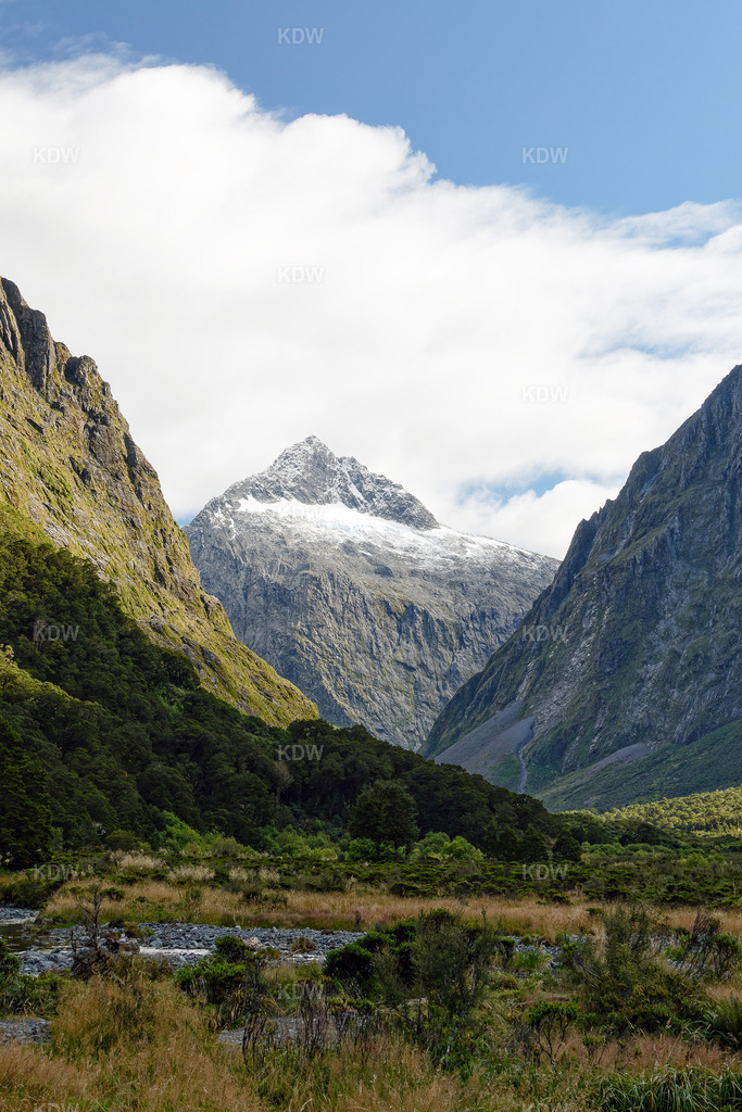 Monkey Creek | Bereich im Milford Sound, Monkey Creek - Realisiert mit Pictrs.com