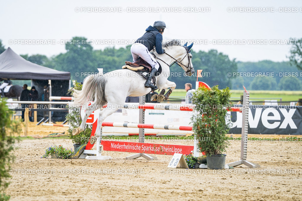 DSC09503 | Pferdegrafie