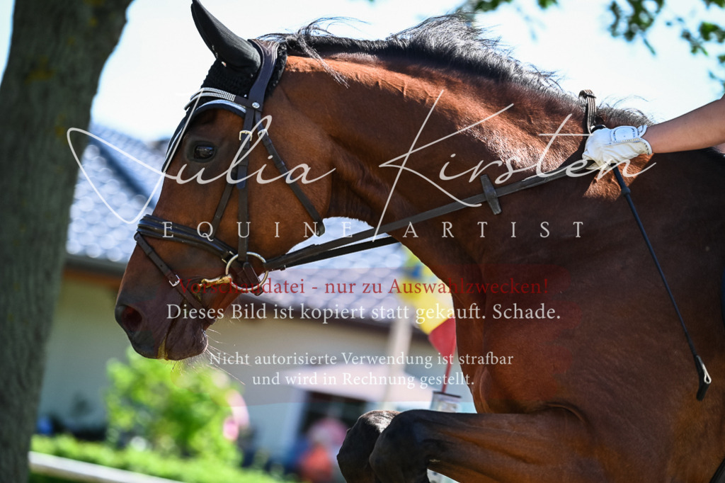 DSC_1207 | Pferde- und Turnierfotografie in Westsachsen. Pferdeportraits, Auftragszeichnungen und intuitive Kunst.