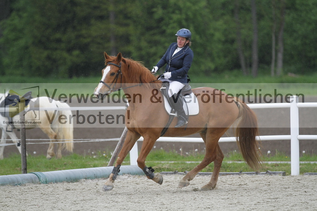 _MG_1006 | equestrian-live-com