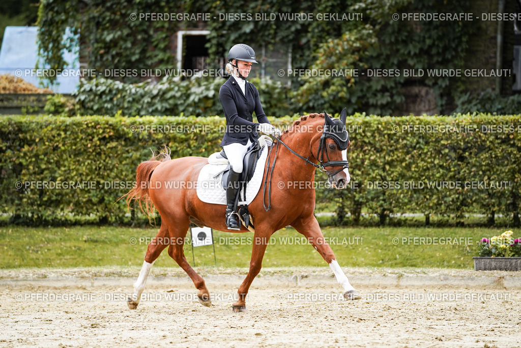 DSC08793 | Pferdegrafie