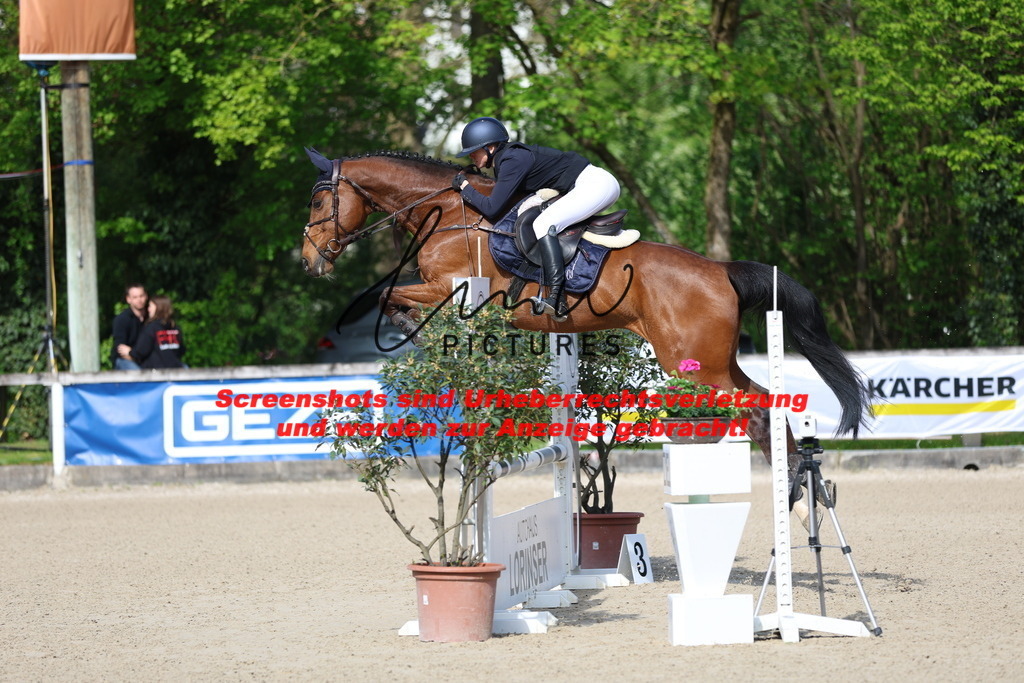 A40A2617 | lmwpictures - Realisiert mit Pictrs.com