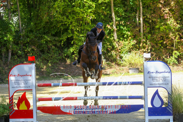 DKP43285 | Turniersportfotografie; Pferdefotografie; Dressurfotografie