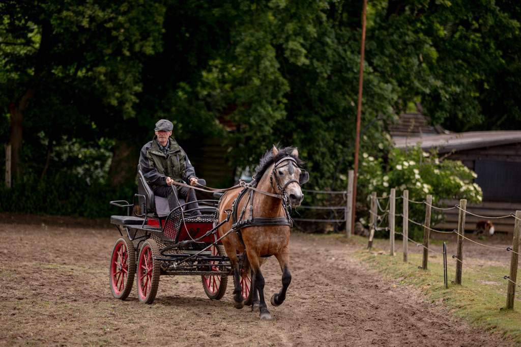 846A0761 | fotosleben - Realisiert mit Pictrs.com