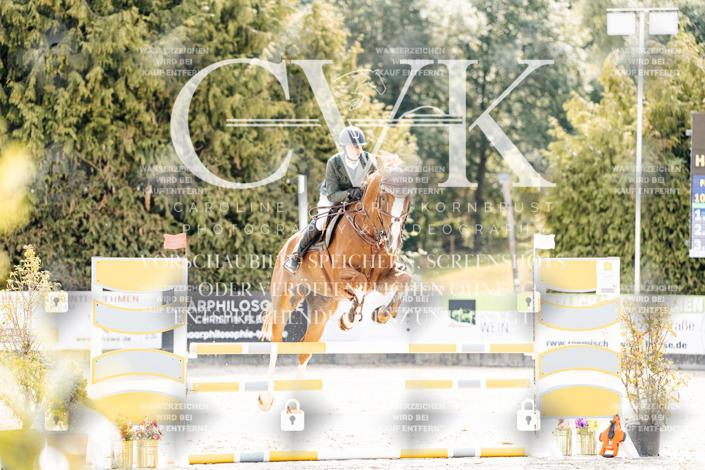 CK908870 | Turnierfotografie Pferdefotografie Trier Rheinland-Pfalz Pferdesport Reitsport Tierfotografie Sportfotografie Pferdevideo Pferdevideografie Equestrianvideography equestrianphotography  - Realisiert mit Pictrs.com