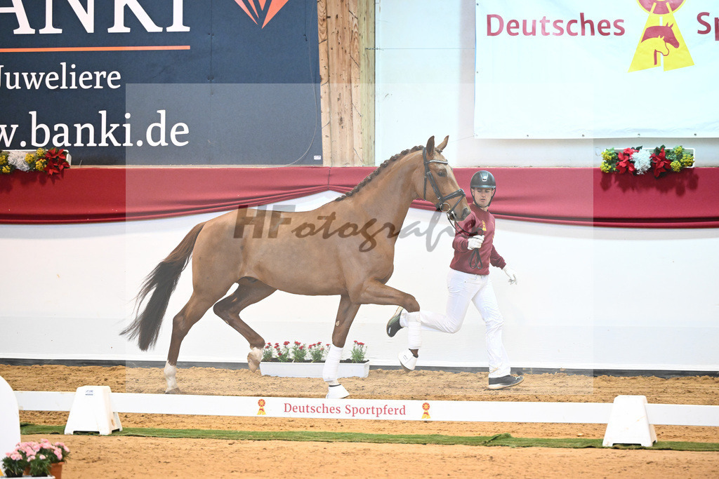 Kat-Nr. 25 Dynamic Dream x Benetton Dream_Bodstangen_43232002 | hf-fotografie - Realisiert mit Pictrs.com