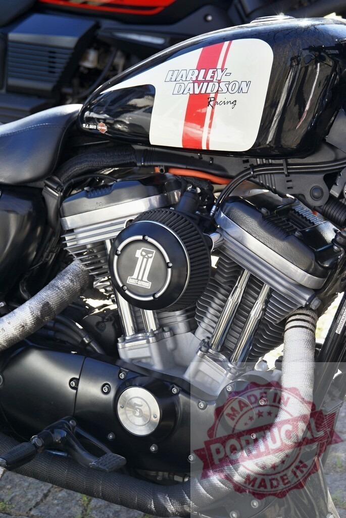 Powerful engine of a Harley-Davidson racing motorcycle is shining in the sunlight | Close-up view of a Harley-Davidson motorcycle engine, showcasing its power and intricate details - Realized with Pictrs.com