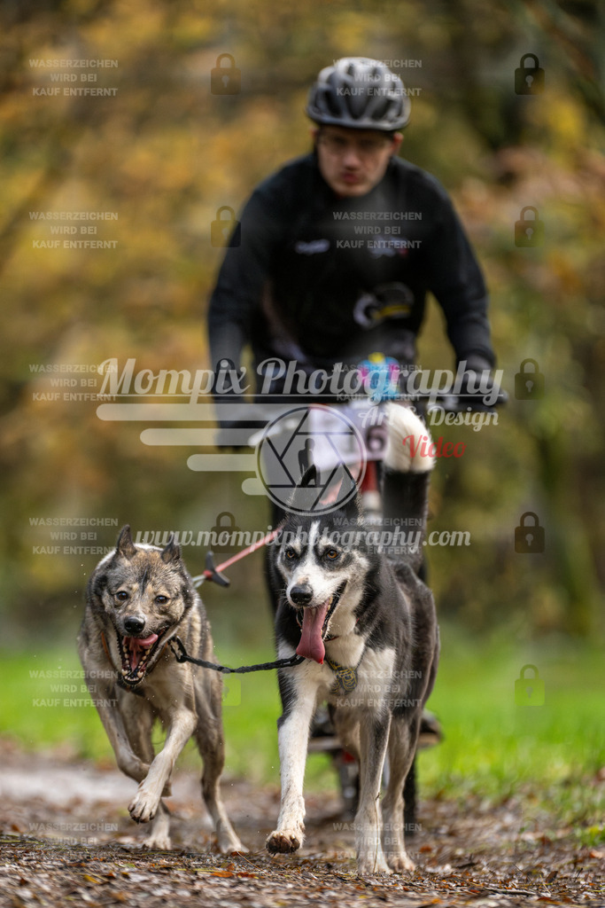 MompixPhotography_Bischwiller23_DS2-16 | mompixphotography