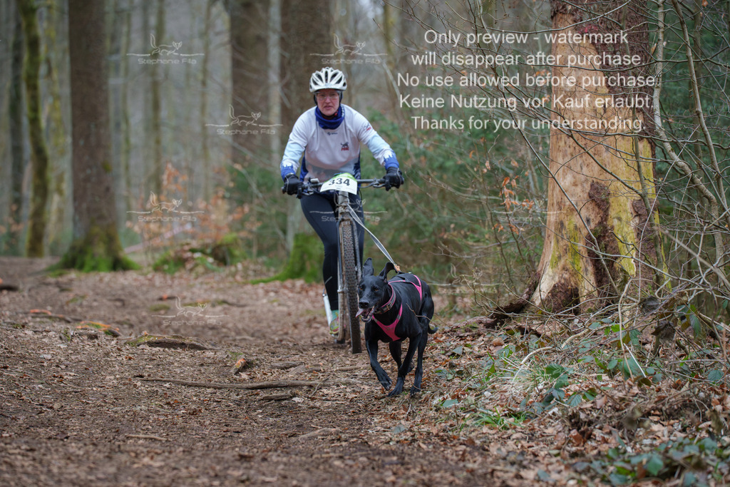 Scooter_So-85 | stephaniefillaphotographie - Realisiert mit Pictrs.com