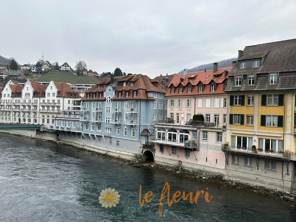 6C3606AE-9D5A-4F2C-95CD-737EC2BD0918 | Dies ist der Shop von Florian Blum - le fleuri. Langenthal, Bern, Schweiz. Sie können hier meine oder ihre eigenen Fotos als Fotoprodukte kaufen. Tassen, Schlüsselanhänger, Taschen etc. können Sie hier gestalten.  - Realisiert mit Pictrs.com