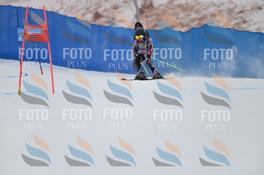 BGV_0356 | holidayphoto