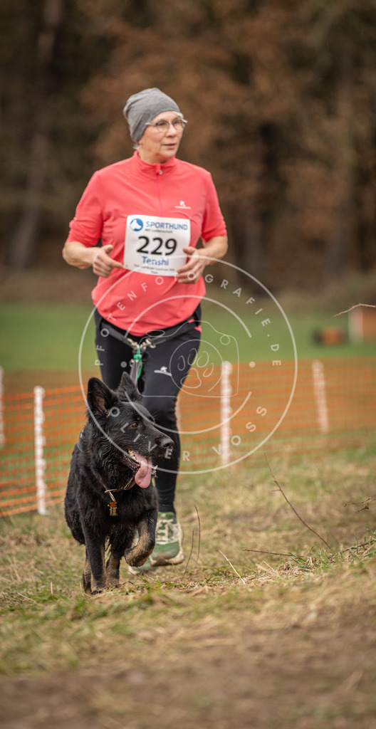 DV3A3048 | Hundefotografie, Tierfotograf, Pfotenfotografie, Fotoshooting Hund, Hunde Portrait, Hundesport, Hundeportraits, Heideshooting, Hunde, Sportfotograf, Hundefotograf, Turnierhundsport, THS,  - Realisiert mit Pictrs.com