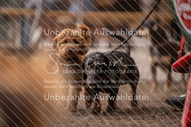 LR262_SD_01657 | saradresslerfotografie - Realisiert mit Pictrs.com