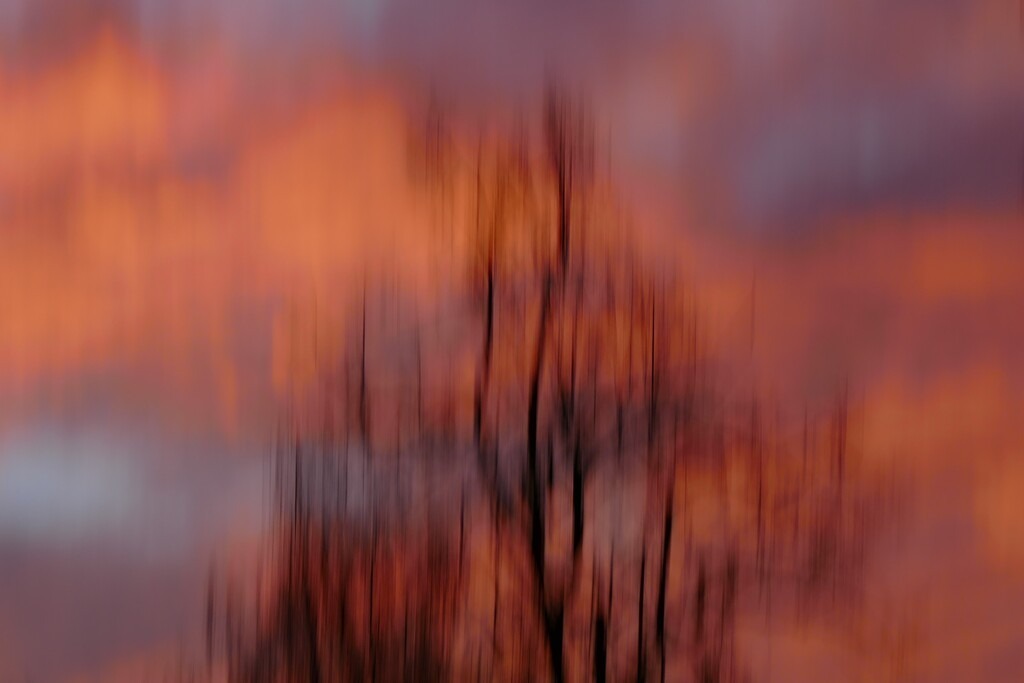 P4150972_a | Annaeherungen - Realisiert mit Pictrs.com