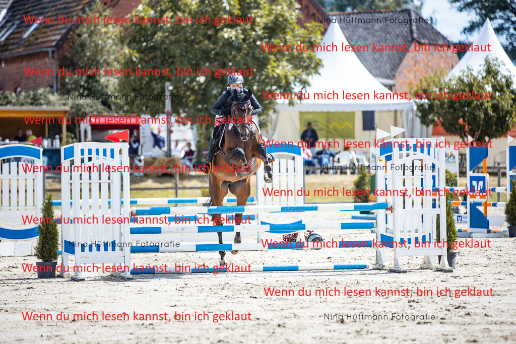 BK1A5131 | Turnierbilder Turnierfotos Nina Hüffmann Turnierfotografie Pferdefotografie Tierzeichnung Haustierzeichnung Pferdezeichnung Hundezeichnung Videograf  - Realisiert mit Pictrs.com