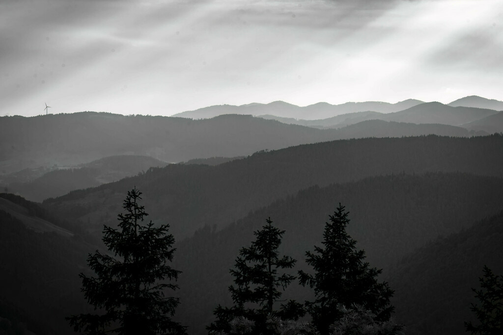Schwarzwald Fernblick 3 | Sich an die einzigartigen Momente der Natur und Landschaft sowie die Begegnung mit heimischen wilden Tieren zu erinnern, dies kann man anhand den Bilder der Natur und Landschaftsfotografin Sandra Eimermacher.  - Realisiert mit Pictrs.com