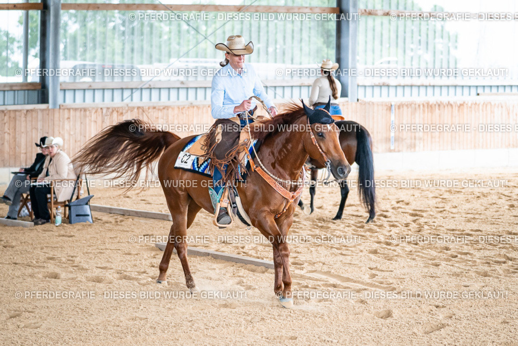 DSC07722 | Pferdegrafie