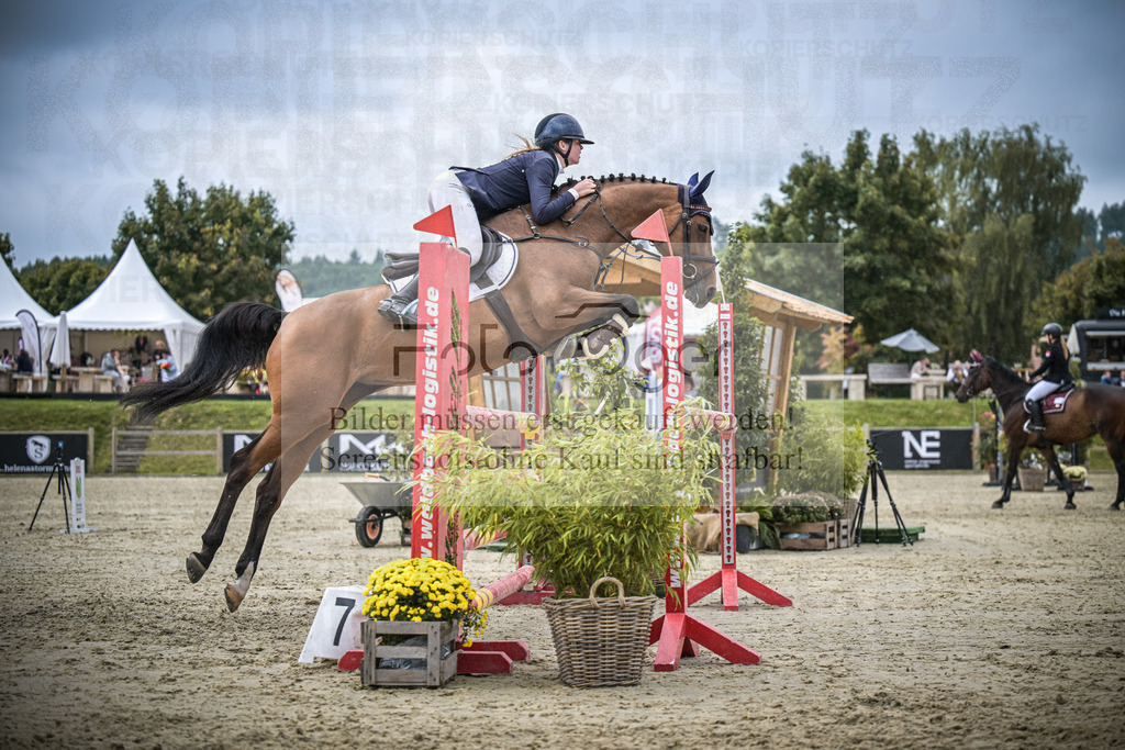 DOS_3081 | Entdecke hochwertige Reitturnierfotos von Foto Oger. Professionell, emotional und authentisch – jetzt Lieblingsmomente im Shop bestellen.Deutschlandweite Turnierfotografie. - Realisiert mit Pictrs.com