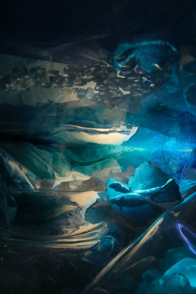 Wal | cornelia-geissler - Realisiert mit Pictrs.com