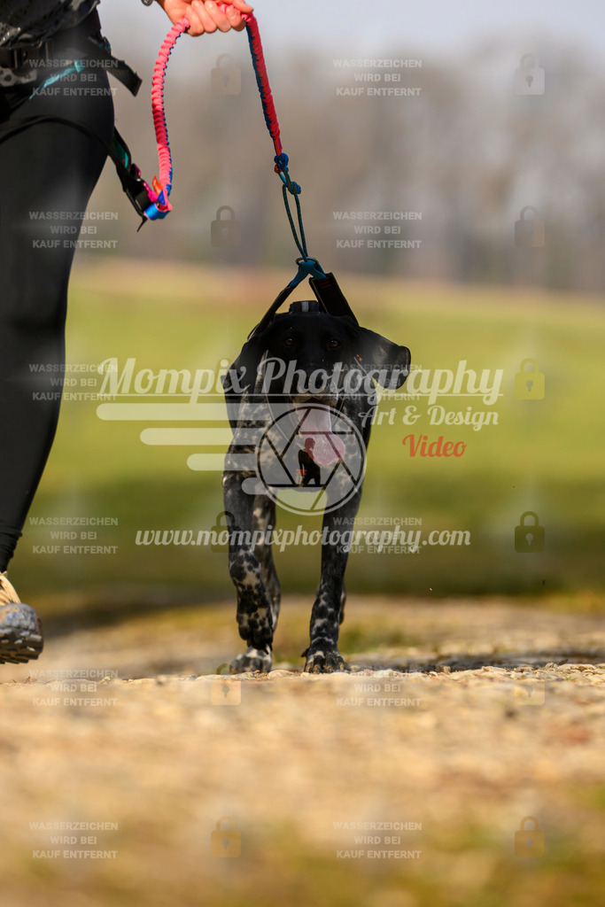 MompixPhotography_6ReiatRennen2026_SA_HappyDog-153 | PayLife