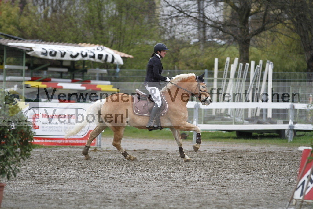 _MG_3533 | equestrian-live-com