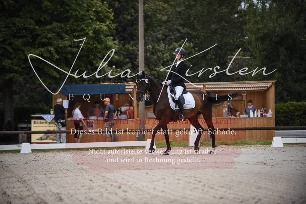 DSC_7931 | Pferde- und Turnierfotografie in Westsachsen. Pferdeportraits, Auftragszeichnungen und intuitive Kunst.