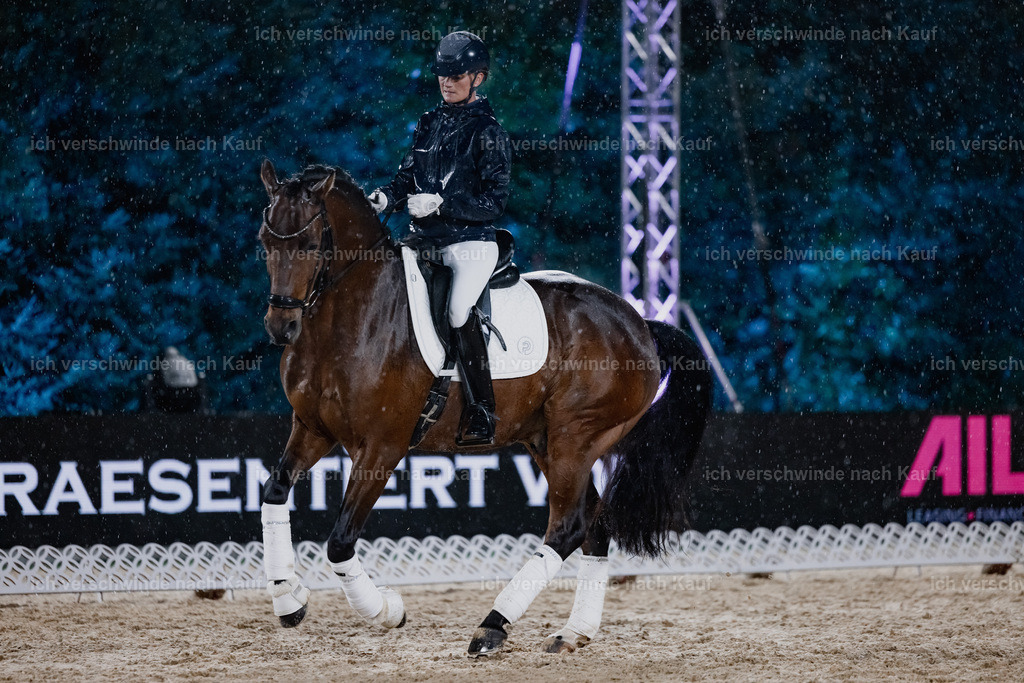 FHClassics-93 | working equitationturnier fotograf videograf stoibphotography marixx film working equitation deutschland reitsport turnierfotografie eventfotografie equestrian events
