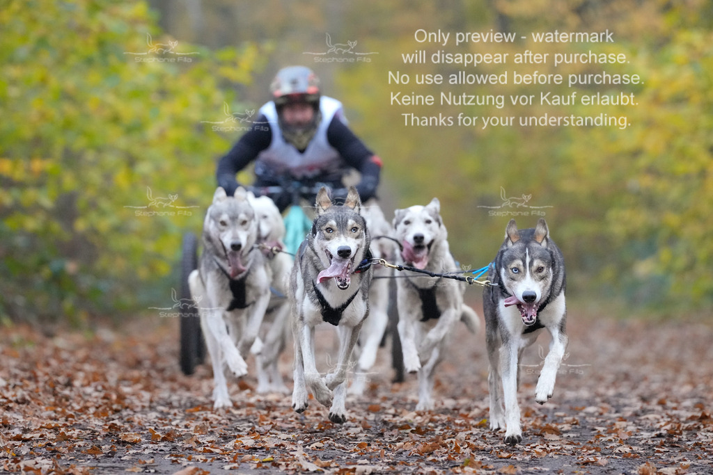 AusschnitteSo-9 | stephaniefillaphotographie - Realisiert mit Pictrs.com