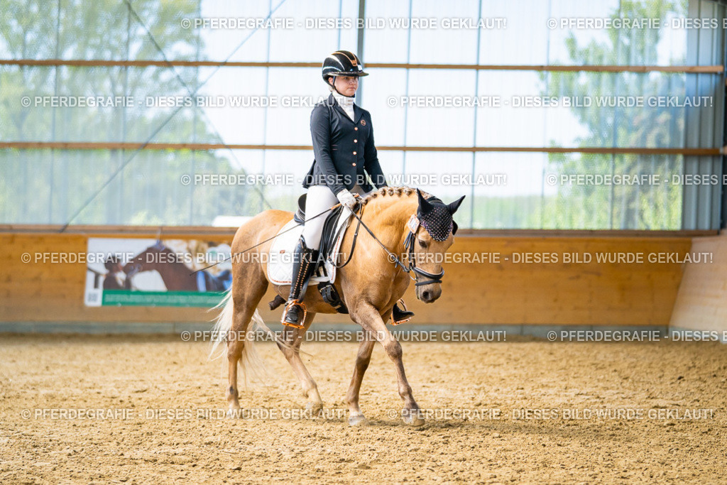 DSC09206 | Pferdegrafie